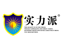 實（shí）力肥料